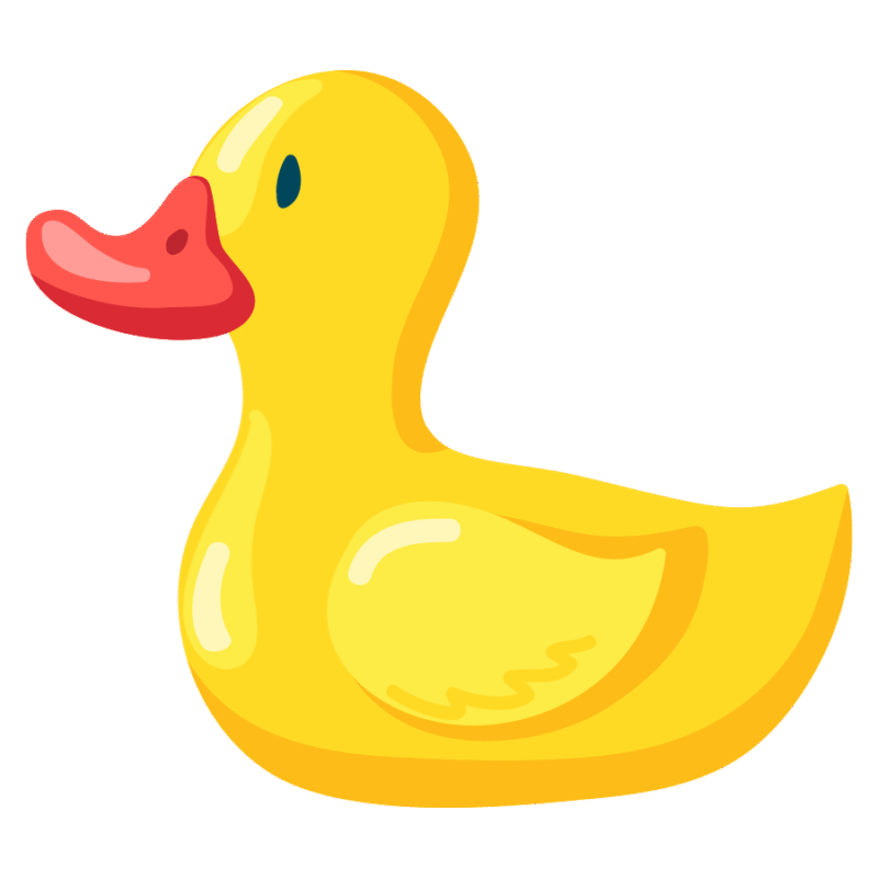 Duck toy