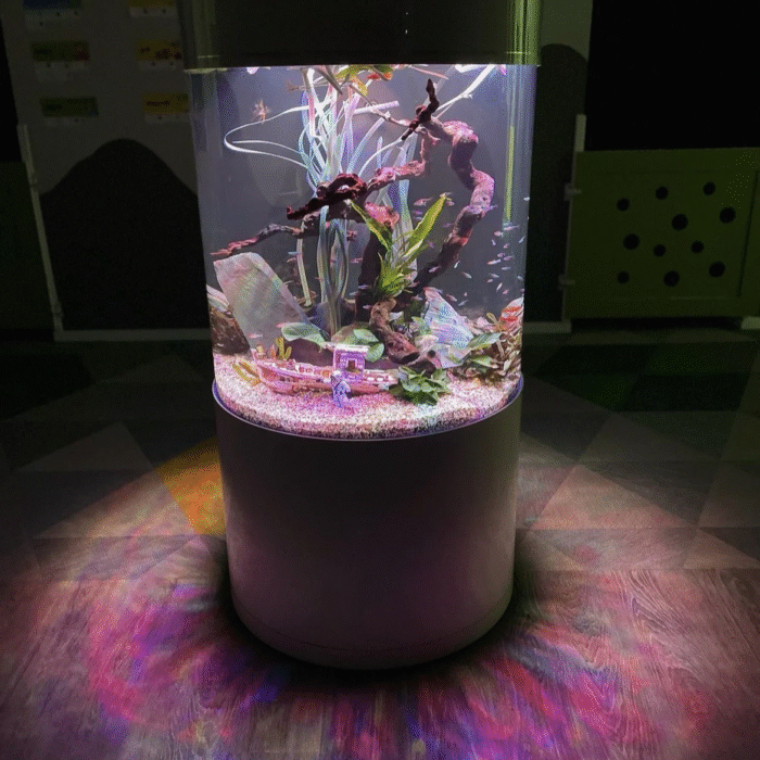 Akvarium